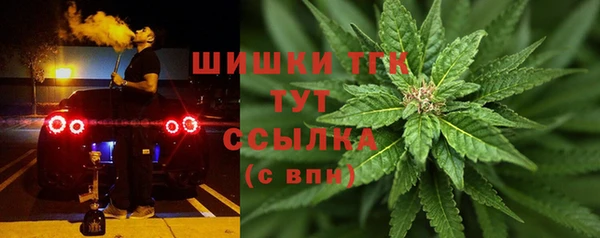 стафф Верхний Тагил
