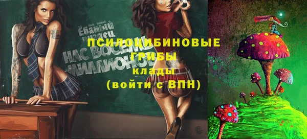 стафф Верхний Тагил