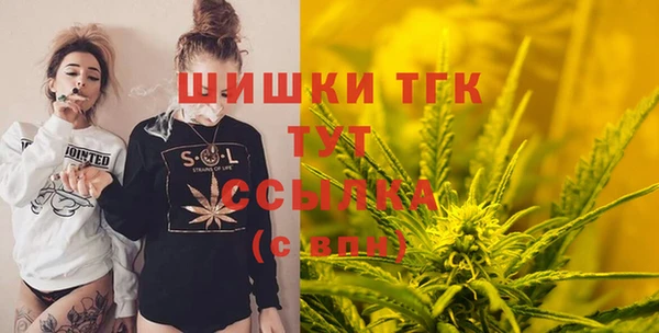 стафф Верхний Тагил